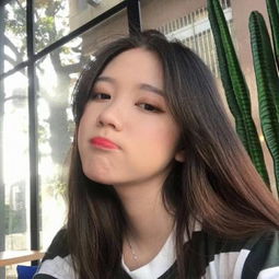 加拿大pc入口手机app下载